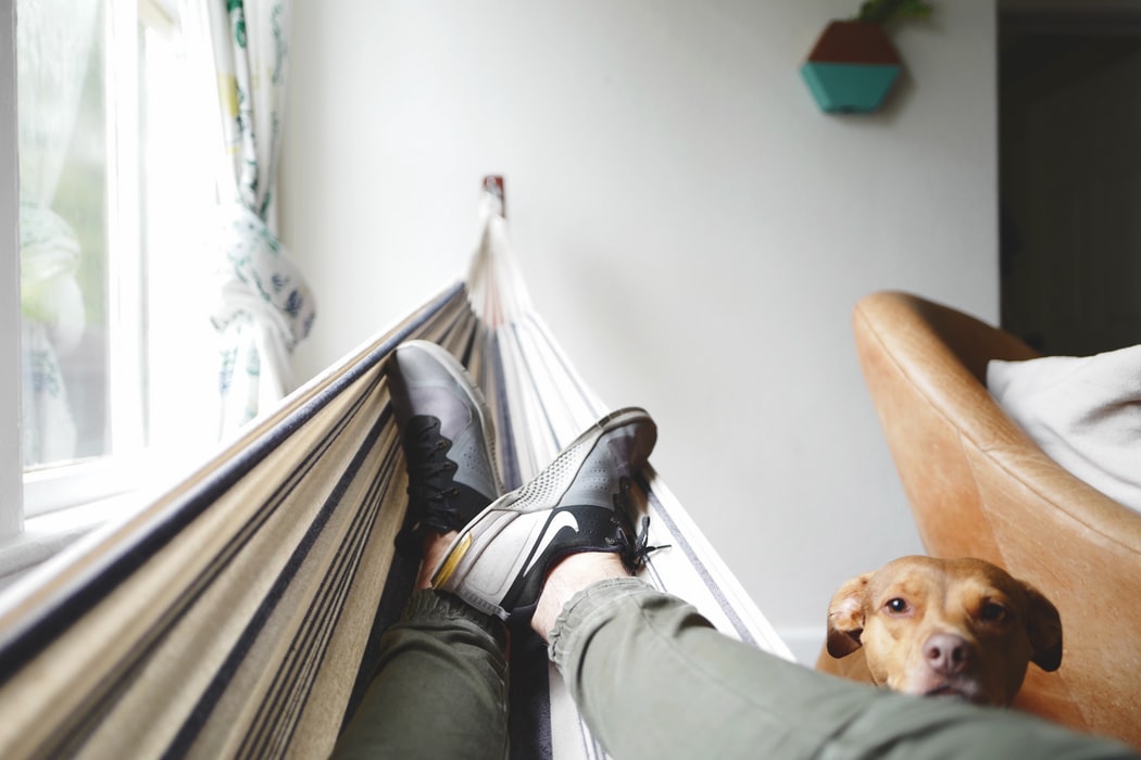 Lounging in a hammock