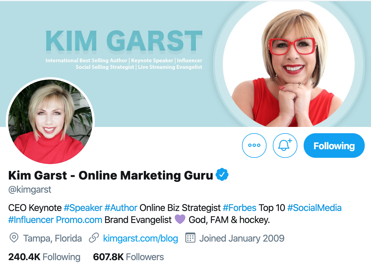 Kim Garst. Social media influencer to follow on twitter