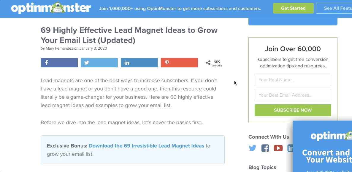lead magnet embed
