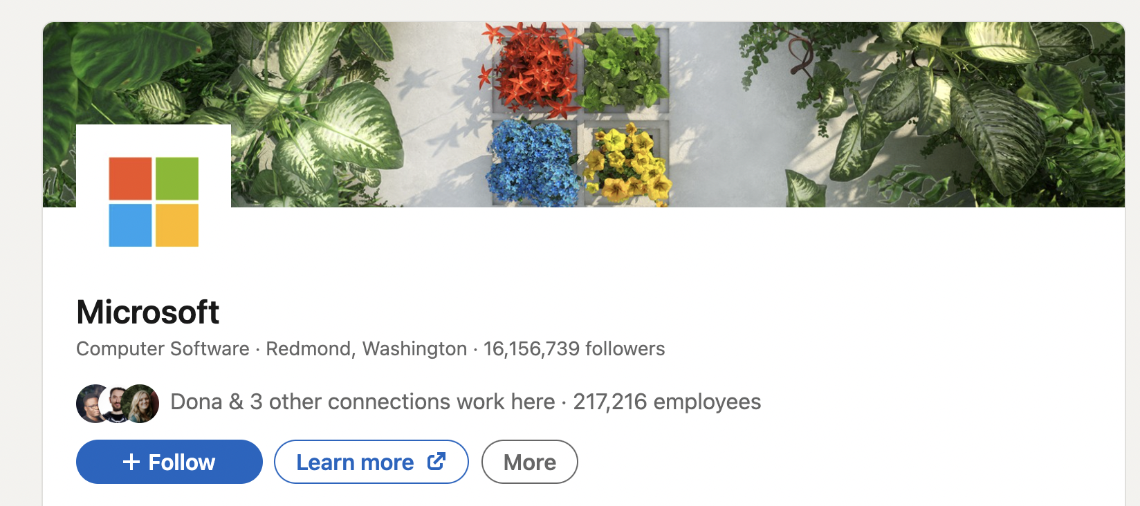 Screenshot of Microsoft's LinkedIn page