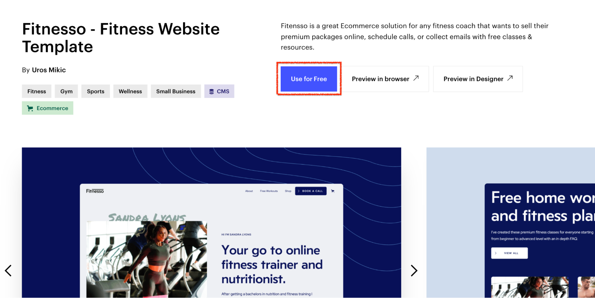 Fitnesso template to use for free