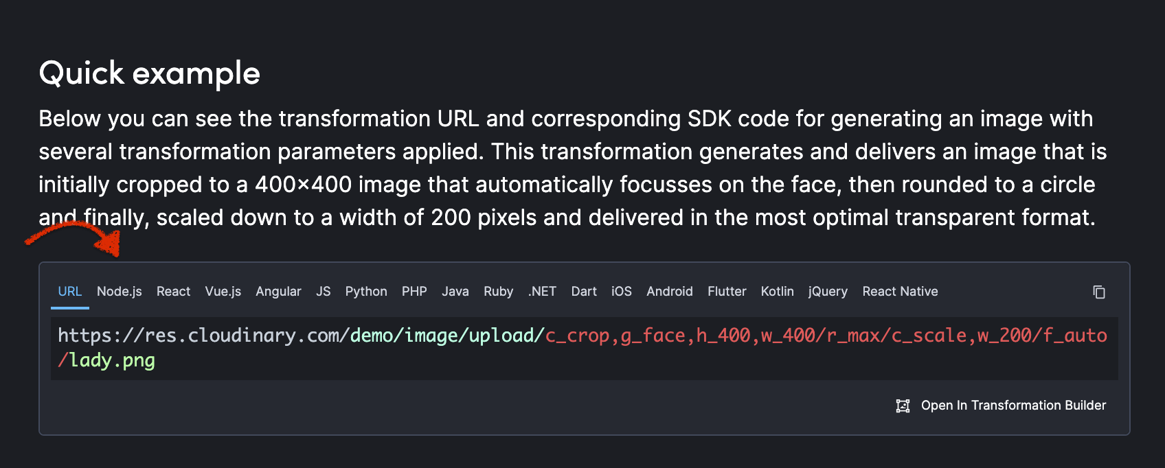 Cloudinary API documentation code example
