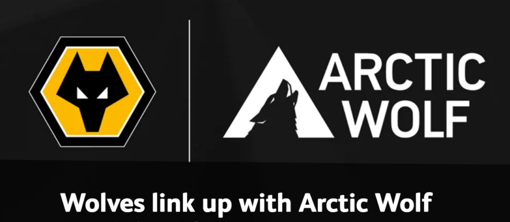 How Arctic Wolf Leads the MDR Pack