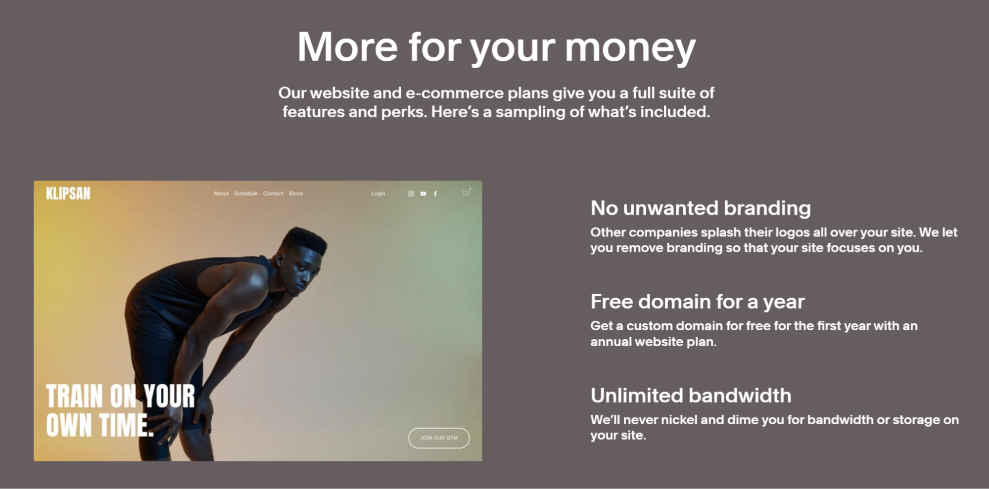 Squarespace "build a website" landing page benefits section