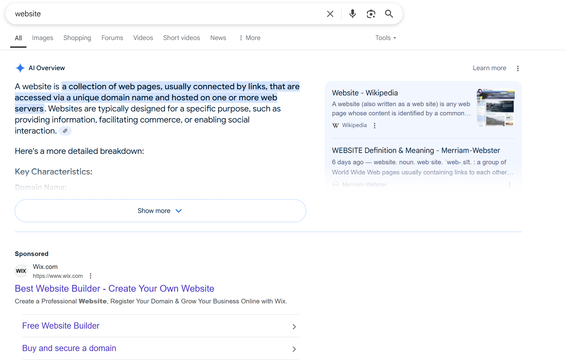 Google AI overview for the search term "Website"